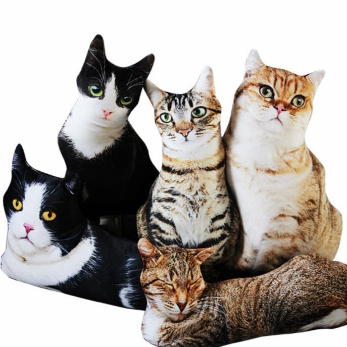 3D Cat Plush