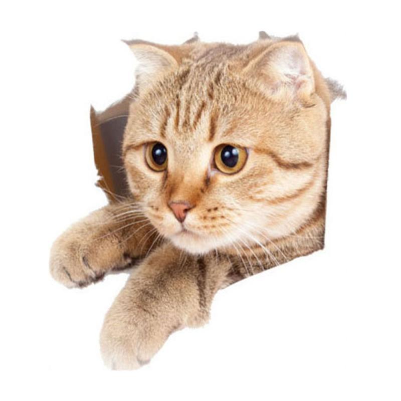 3D Cat Wall Art Stickers
