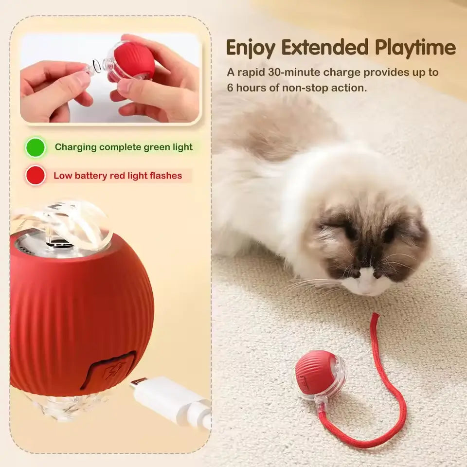 Interactive Motion Cat Toy