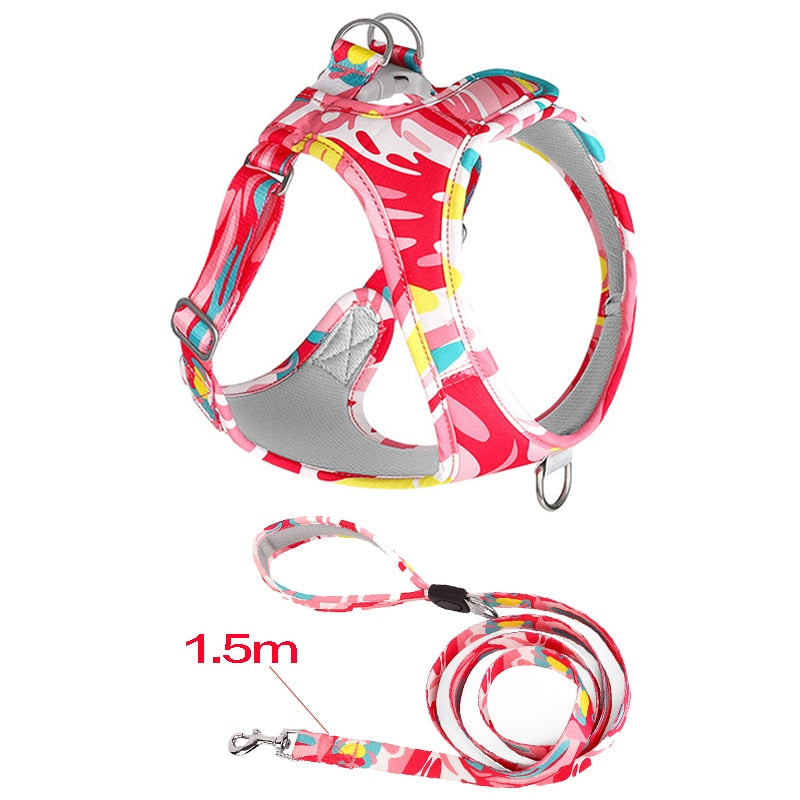 Abstract Secure Cat Harness