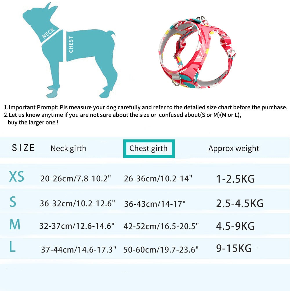 Abstract Secure Cat Harness