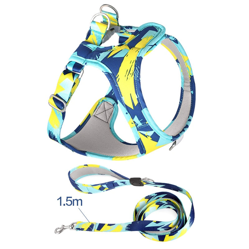 Abstract Secure Cat Harness