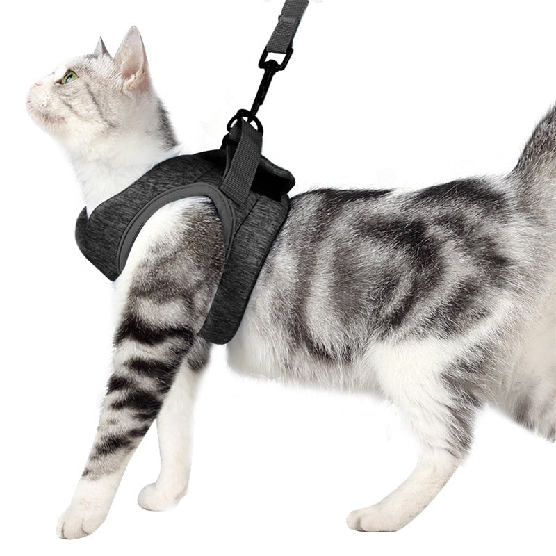 Adjustable Cat Harness