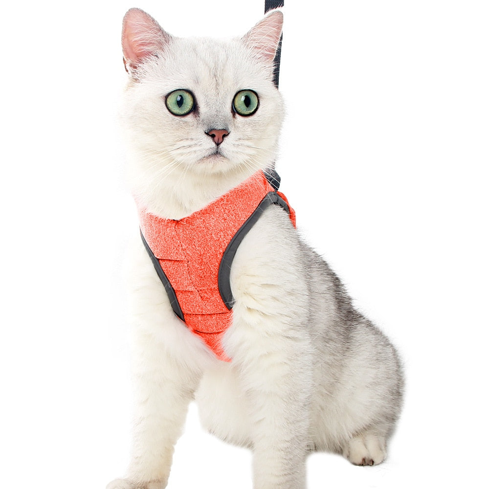 Adjustable Cat Harness