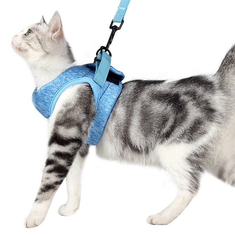 Adjustable Cat Harness