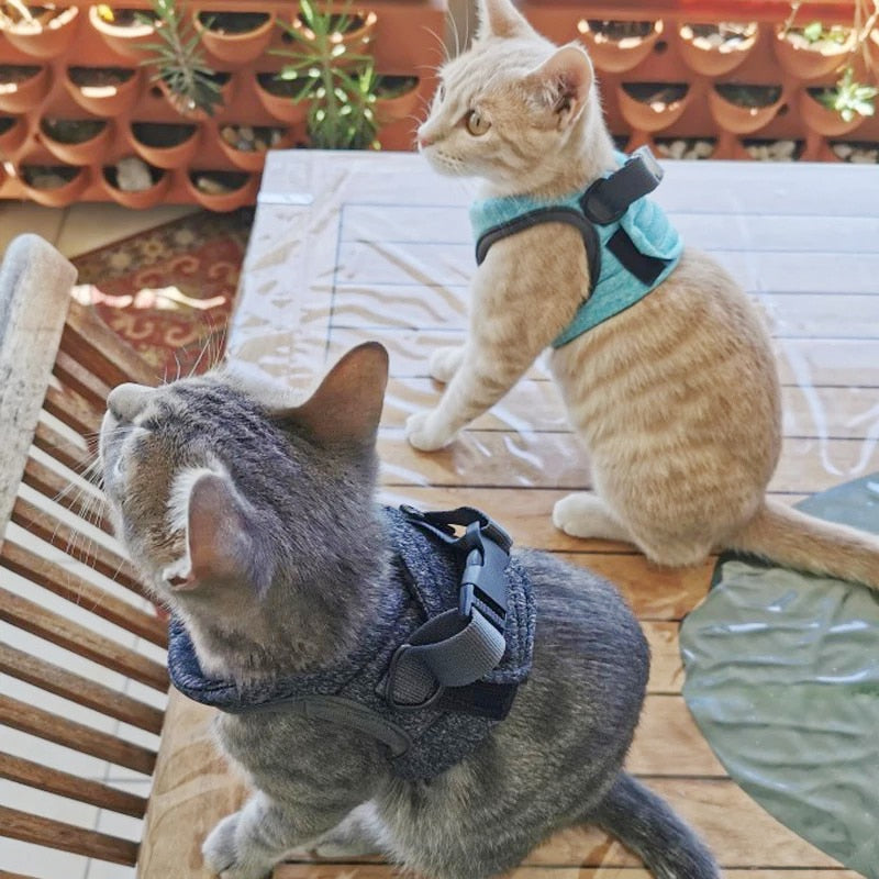 Adjustable Cat Harness