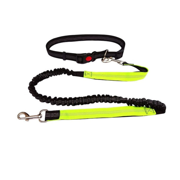 Adjustable Cat Leash