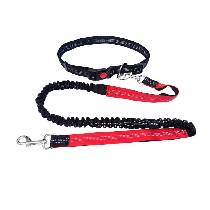 Adjustable Cat Leash