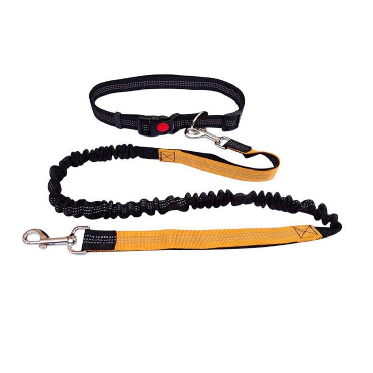 Adjustable Cat Leash