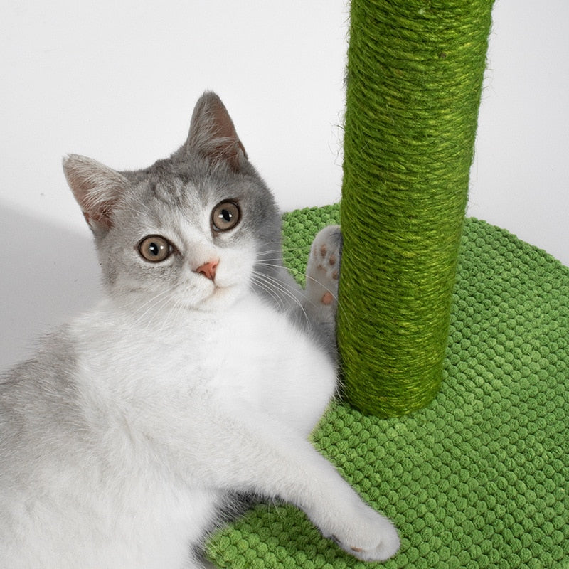 Aesthetic Cat Scratching Post