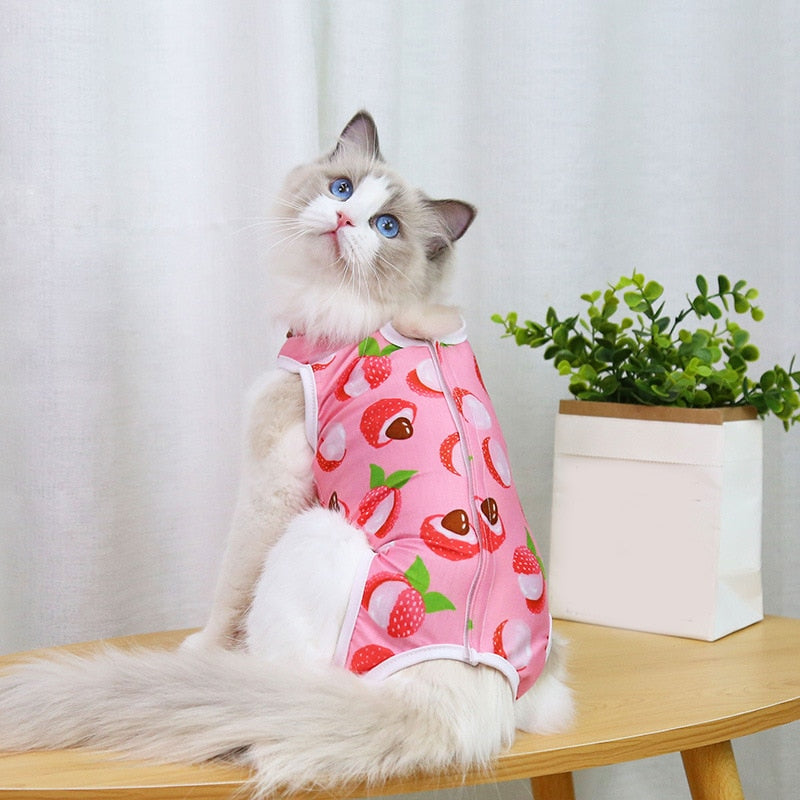 After Surgery Cat Clothes