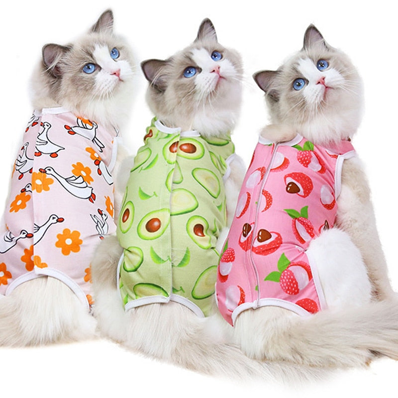 After Surgery Cat Clothes