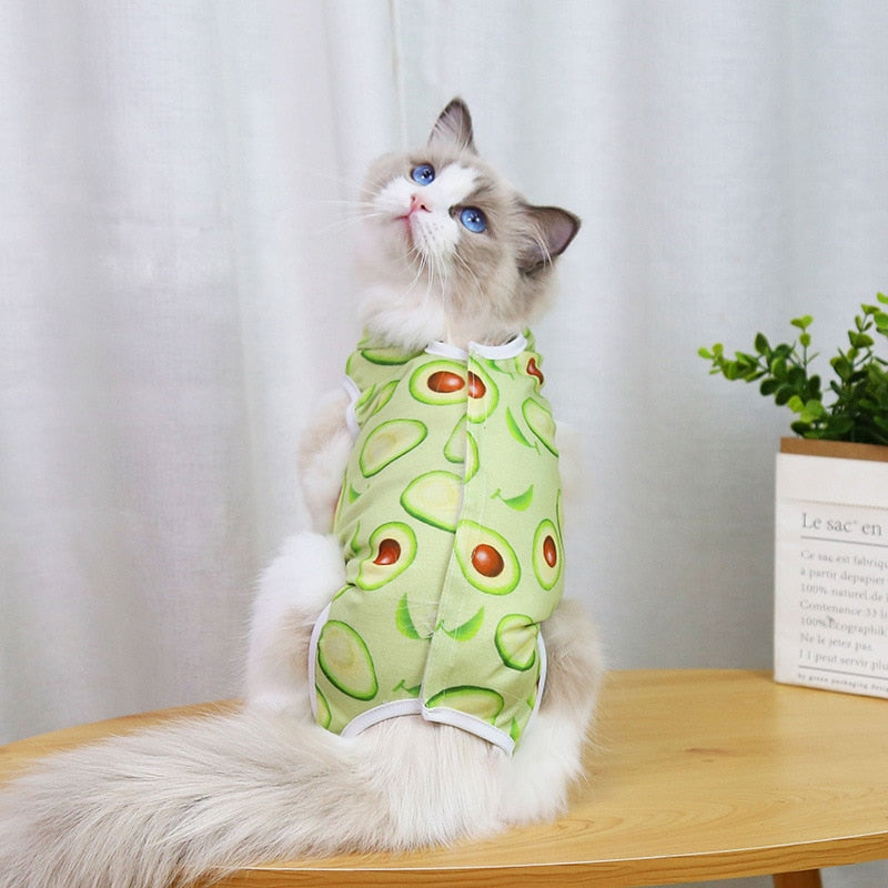 After Surgery Cat Clothes