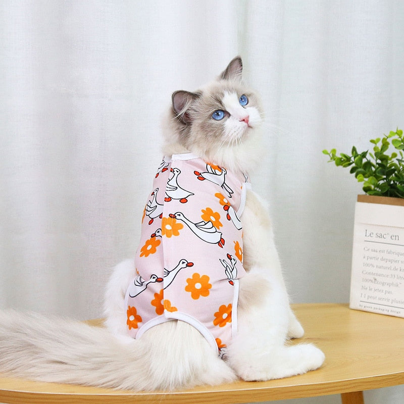After Surgery Cat Clothes