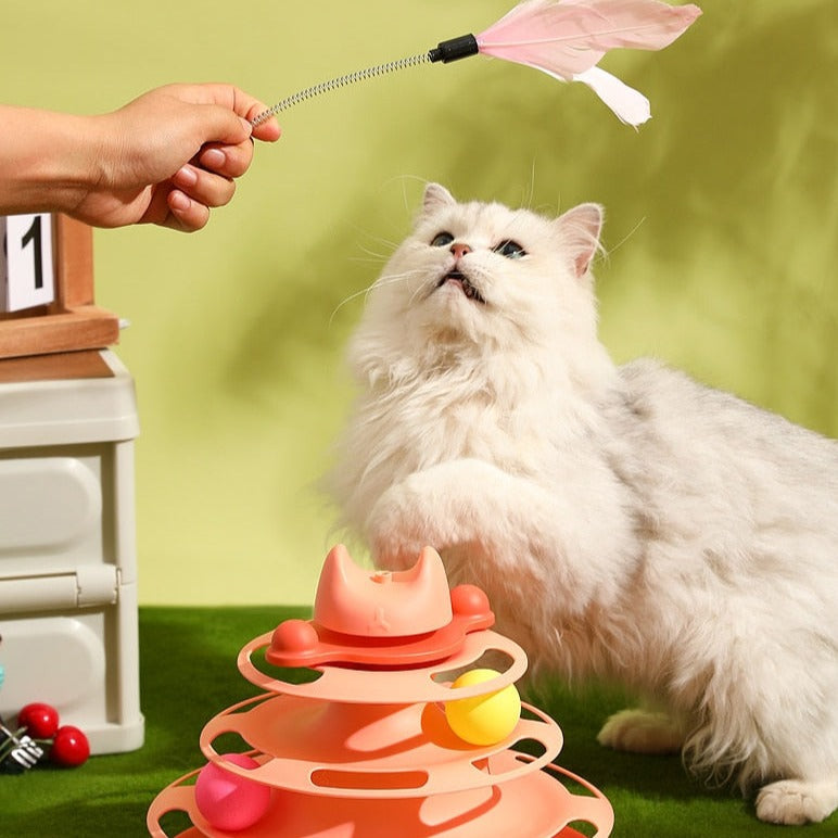 Amusement Plate Cat Toy