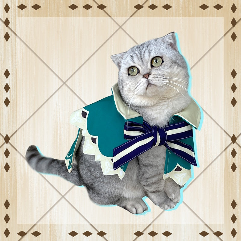 Animal Costumes for Cats