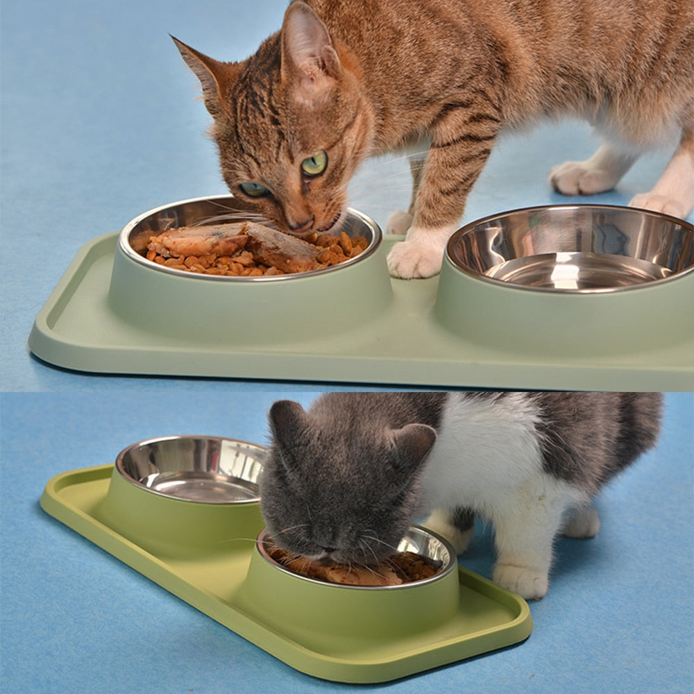 Ant Proof Cat Bowl