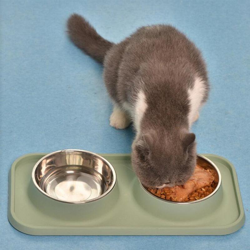 Ant Proof Cat Bowl