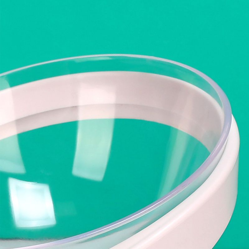 Anti Vomiting Cat Bowl