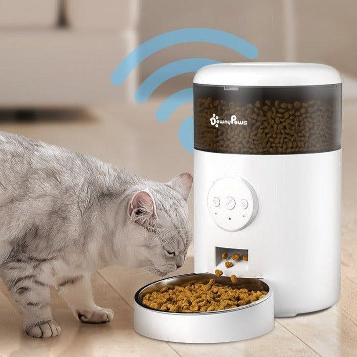 Auto Cat Food Dispenser