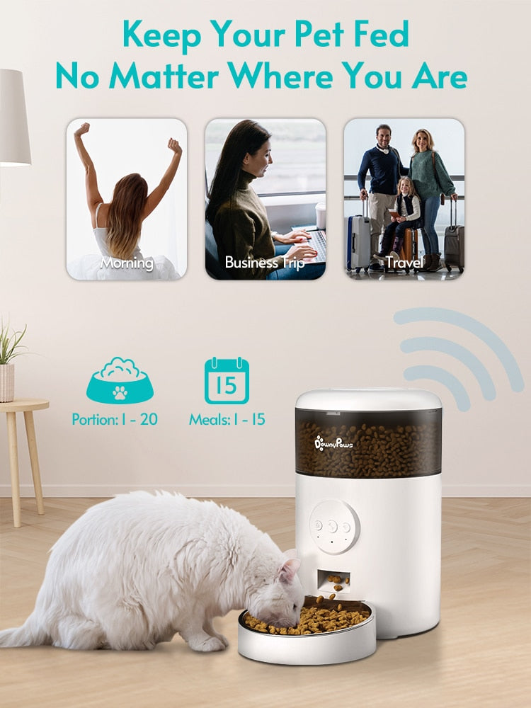 Auto Cat Food Dispenser