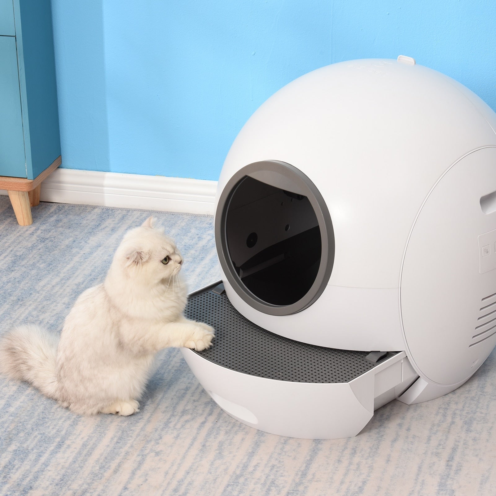 Automatic Cat Litter Box