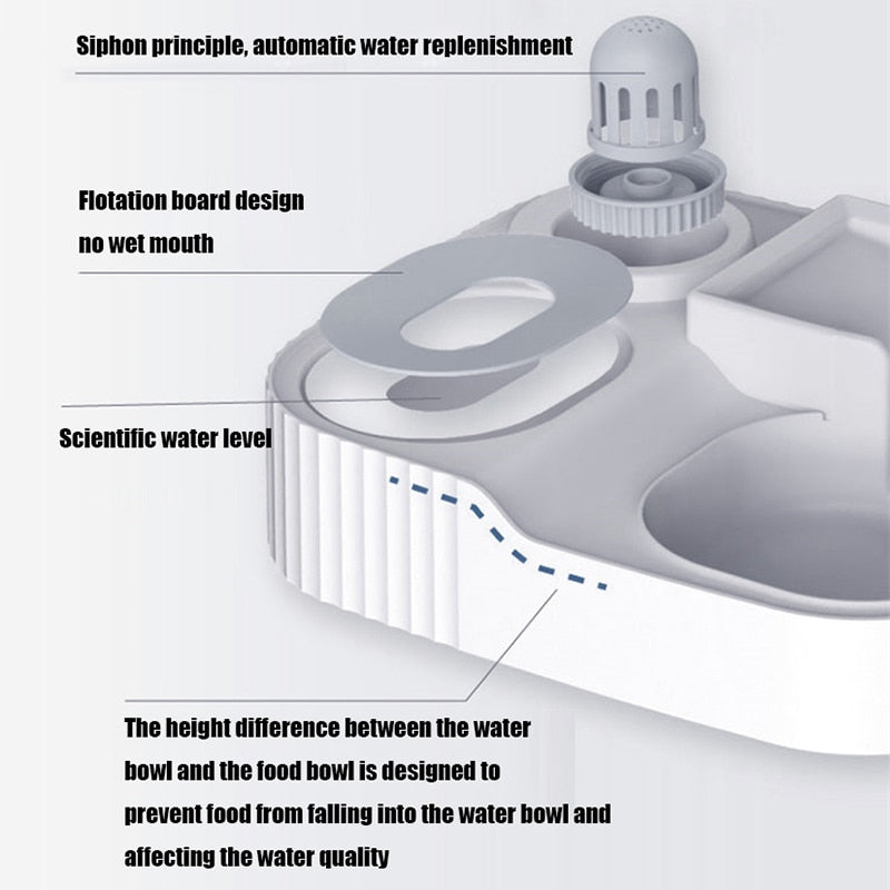Automatic Food and Water Dispenser for Cats