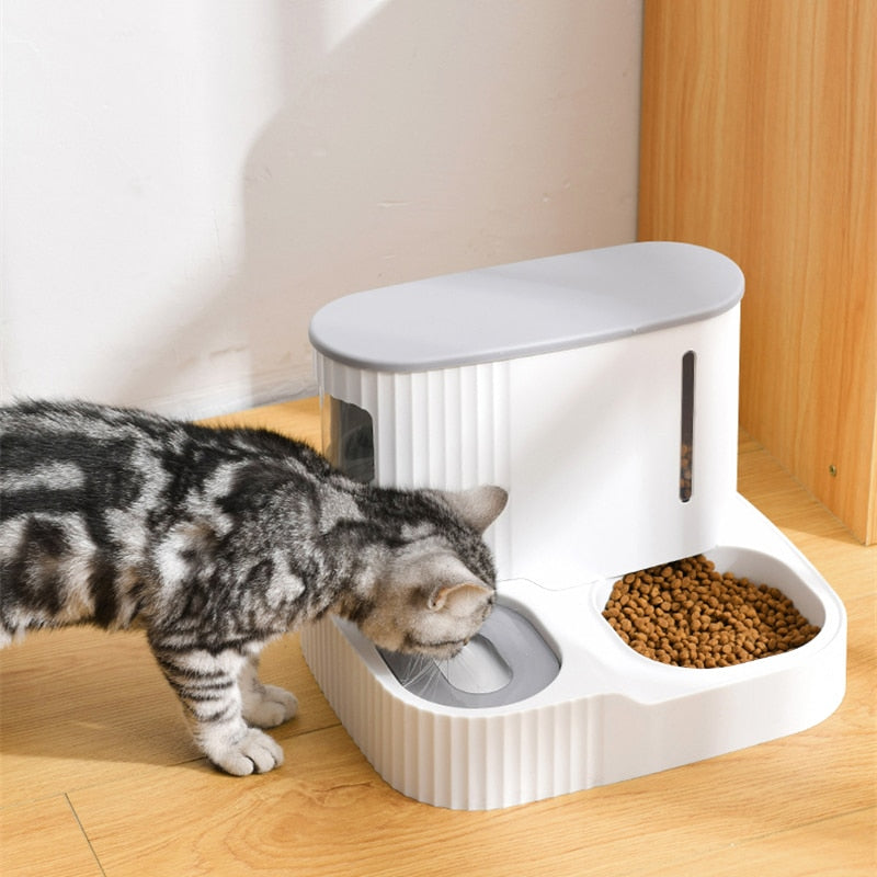 Automatic Food and Water Dispenser for Cats