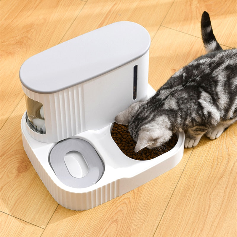 Automatic Food and Water Dispenser for Cats