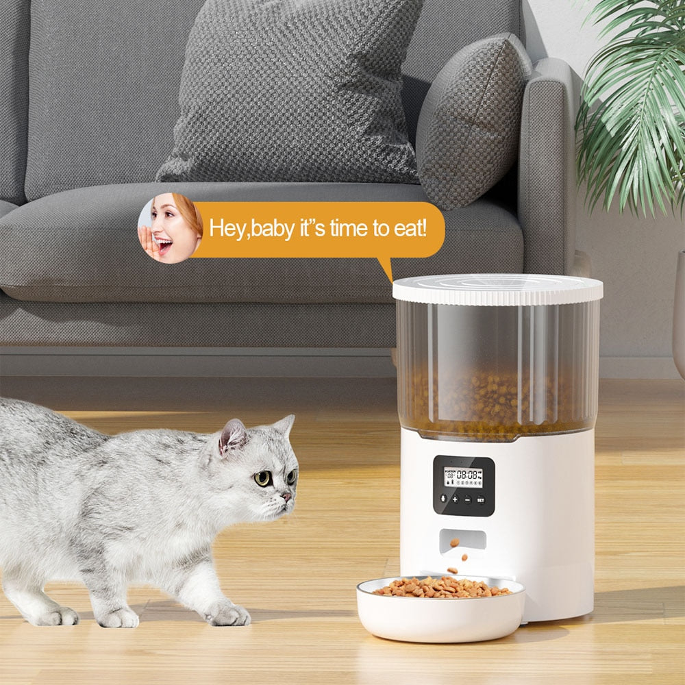 Automatic Food Dispenser for Cats