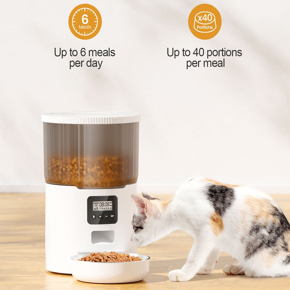 Automatic Food Dispenser for Cats