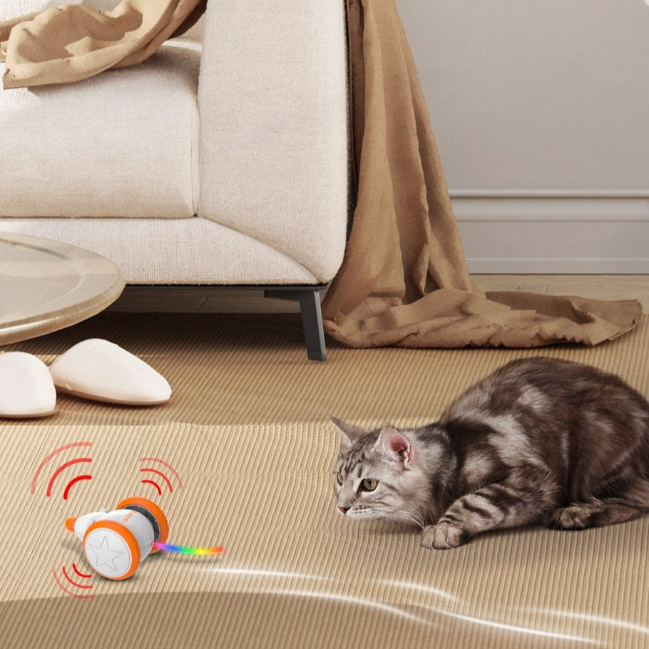 Automatic Interactive Cat Toy