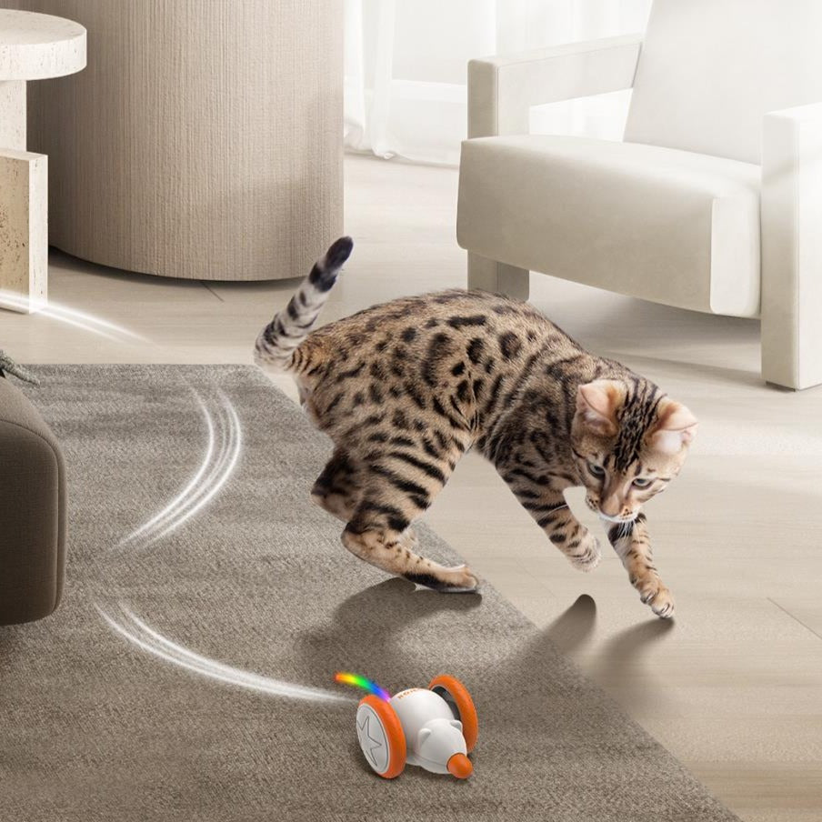 Automatic Interactive Cat Toy