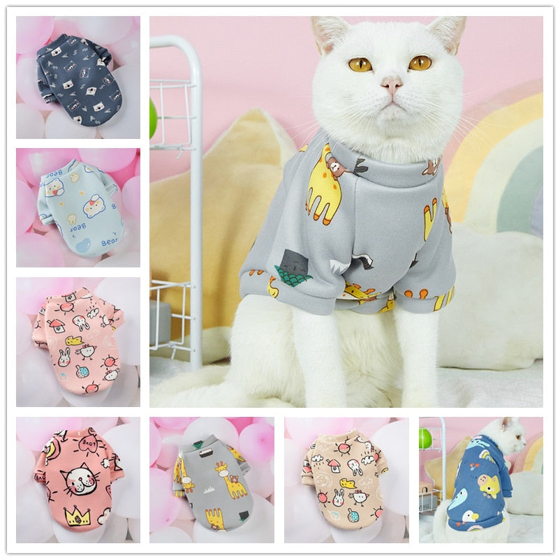 Autumn Clothes for Cats