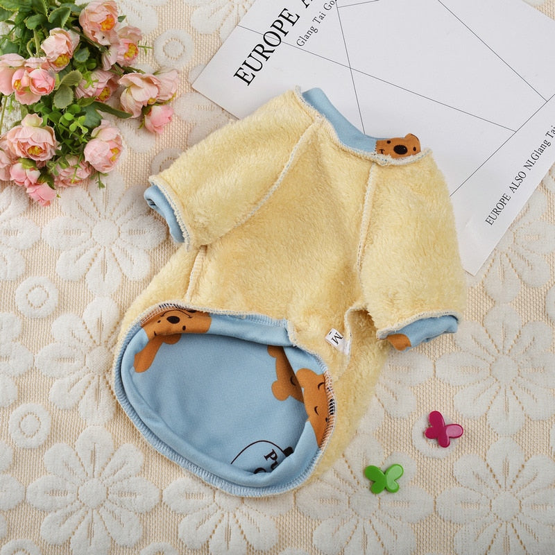 Autumn Clothes for Cats