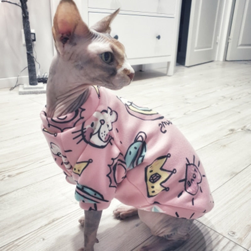 Autumn Clothes for Cats