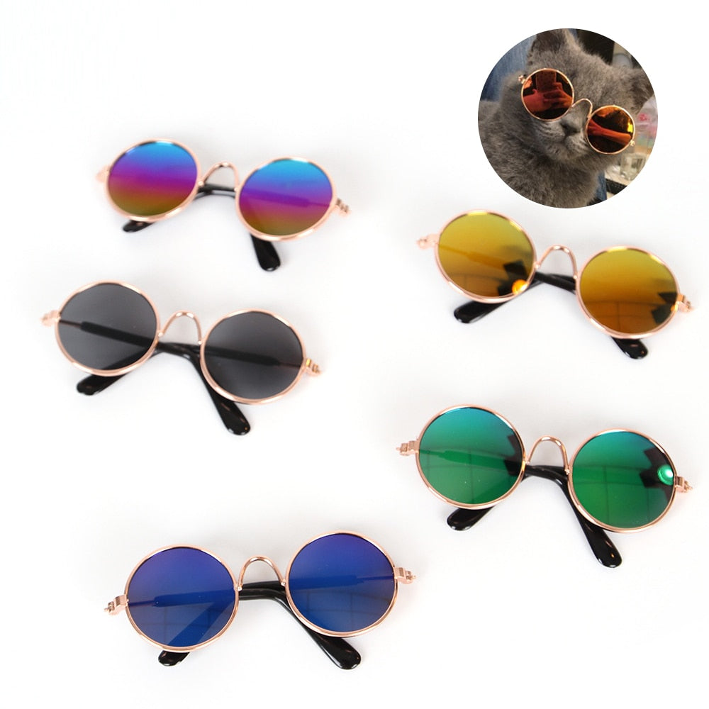 Aviator Cat Glasses