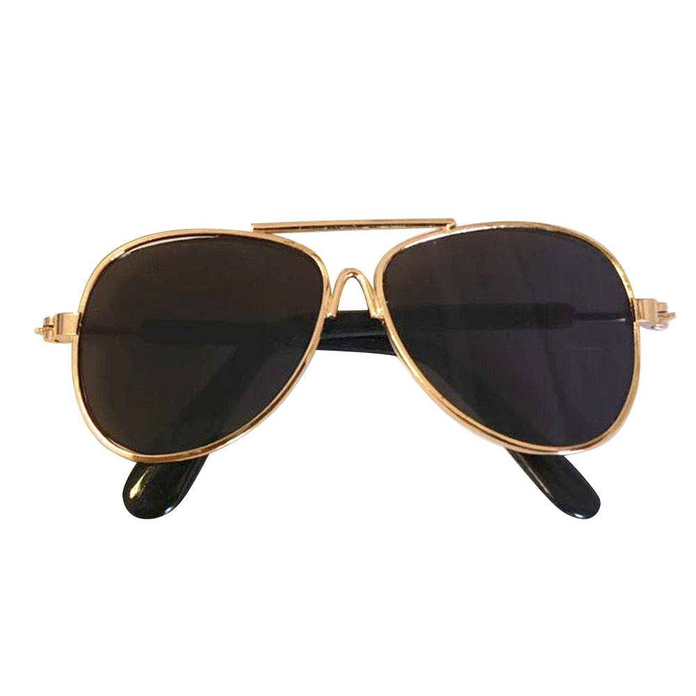 Aviator Cat Glasses