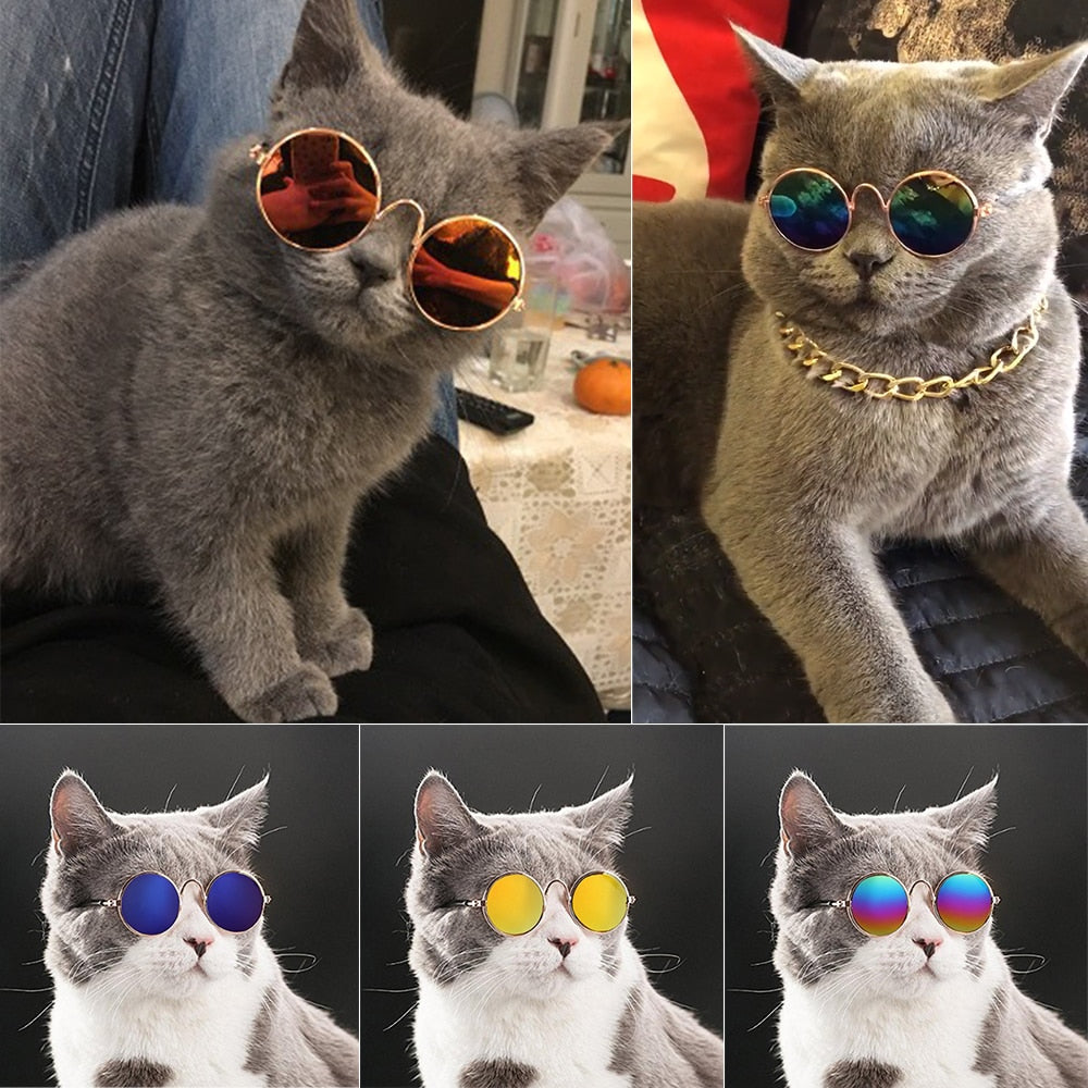 Aviator Cat Glasses