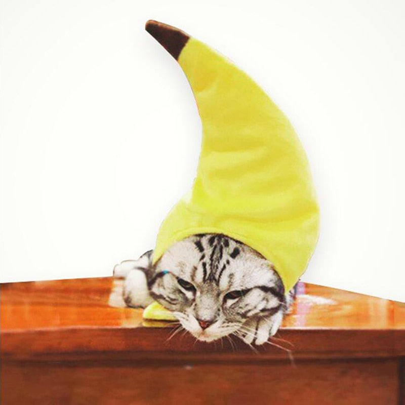 Banana Hat for Cats