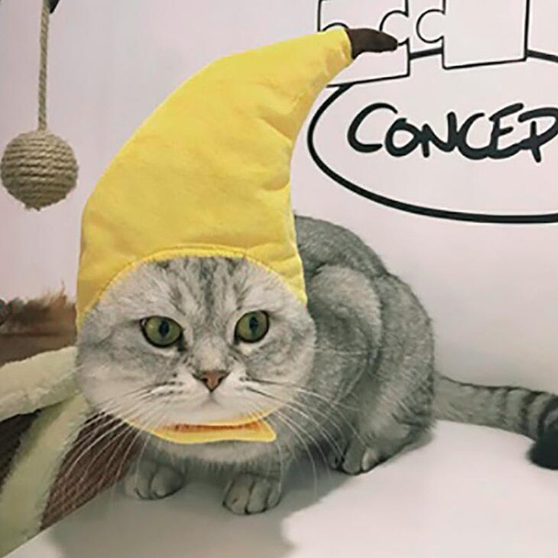 Banana Hat for Cats