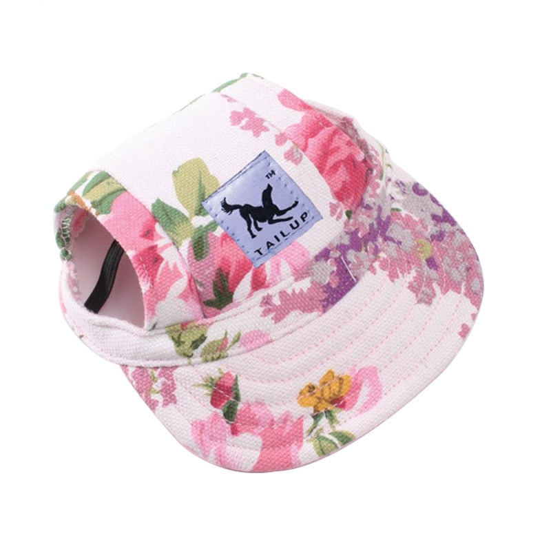 Baseball Hats for Cats
