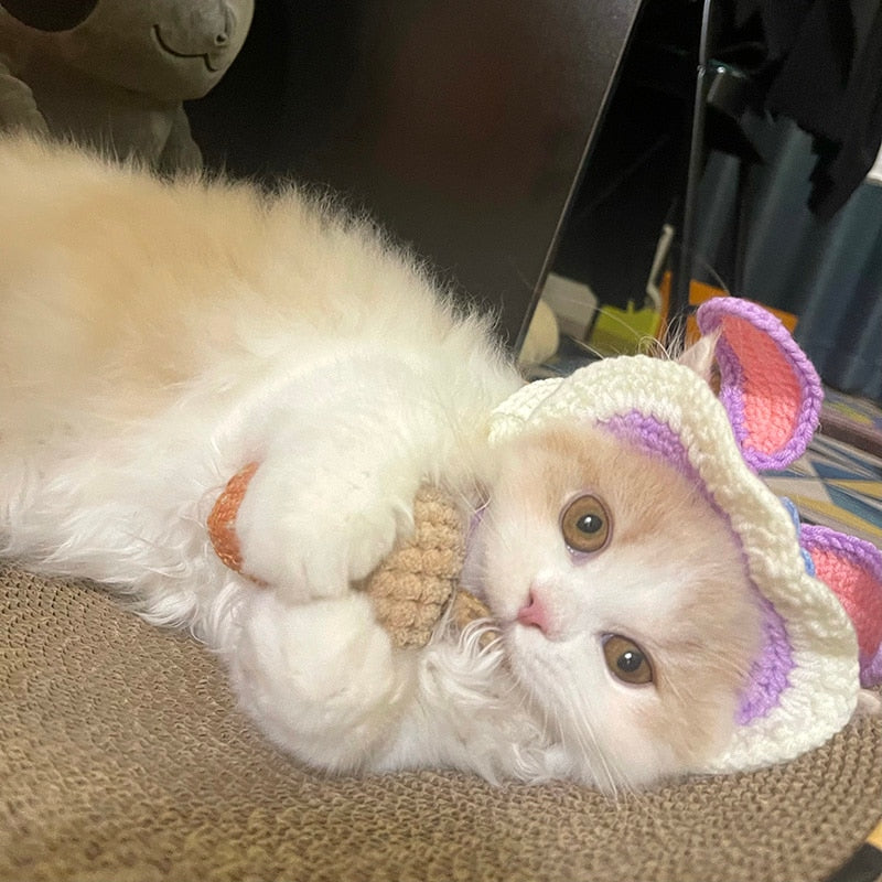 Beanie for Cat Pattern
