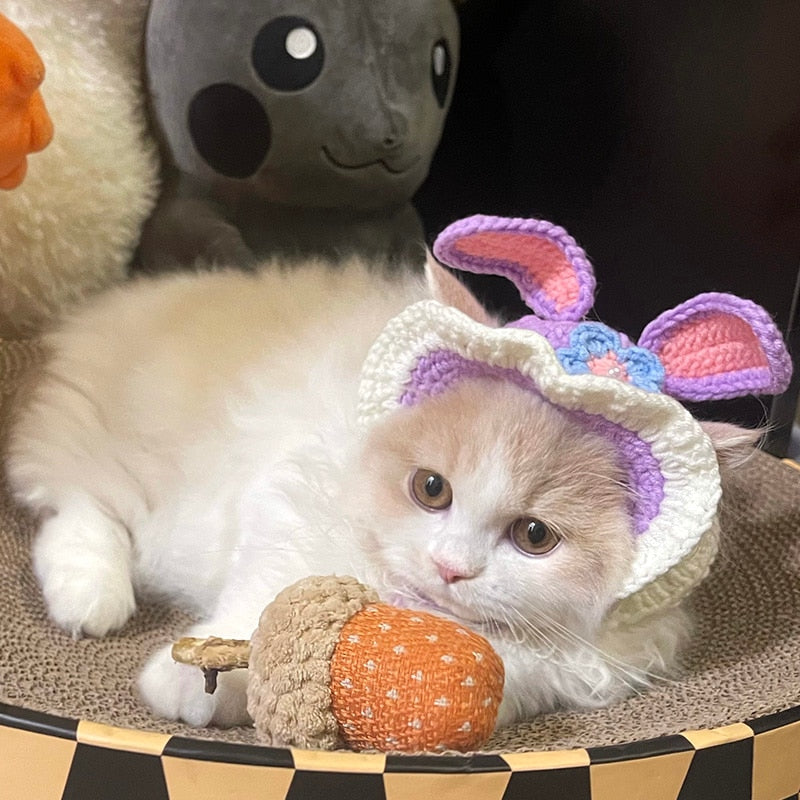 Beanie for Cat Pattern