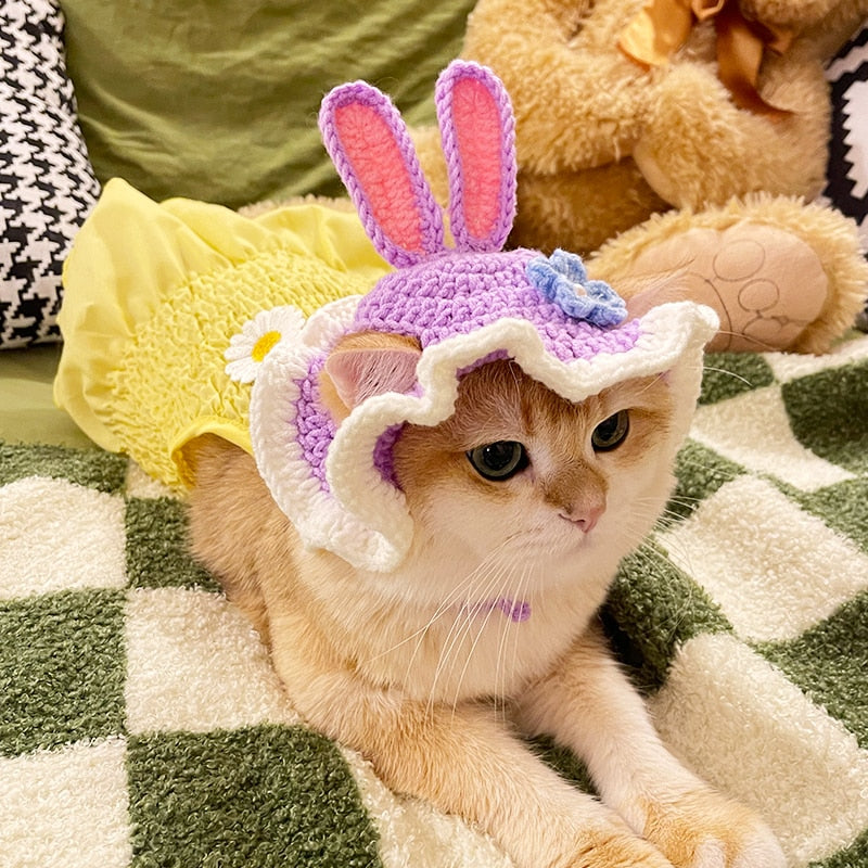 Beanie for Cat Pattern