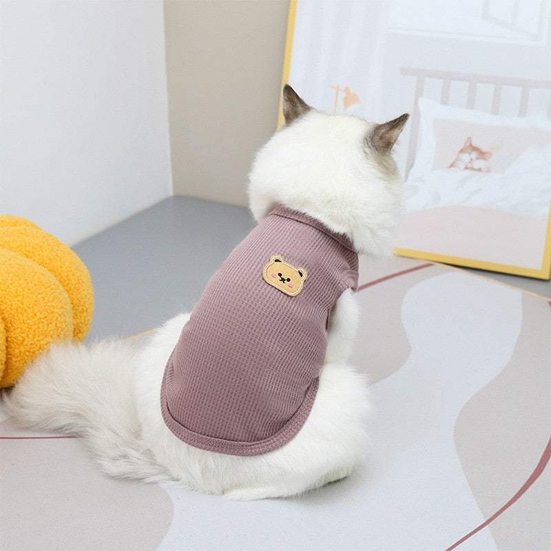 Bear Clothes for Cats