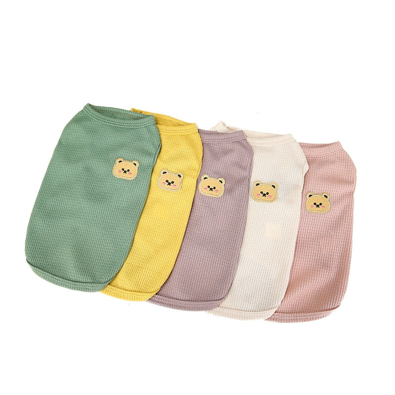 Bear Clothes for Cats