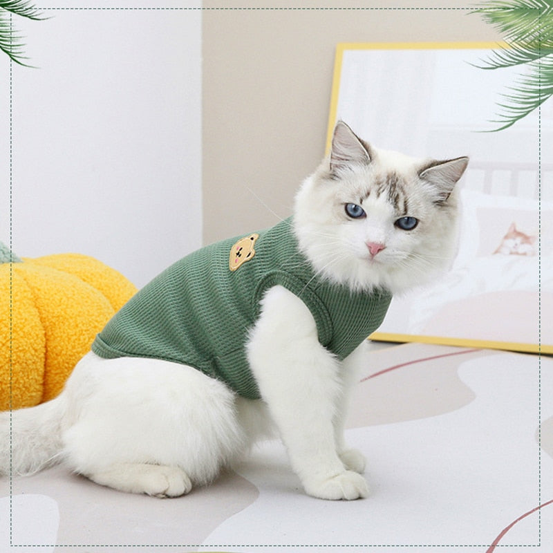 Bear Clothes for Cats
