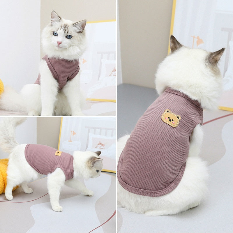 Bear Clothes for Cats