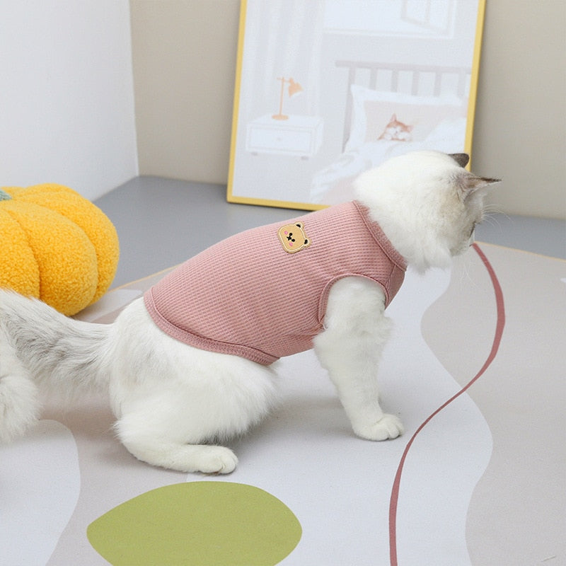 Bear Clothes for Cats